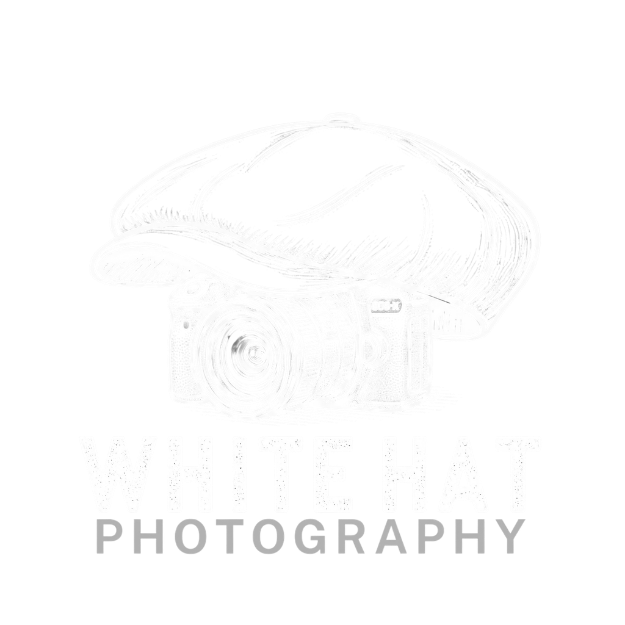 Welcome Logo
